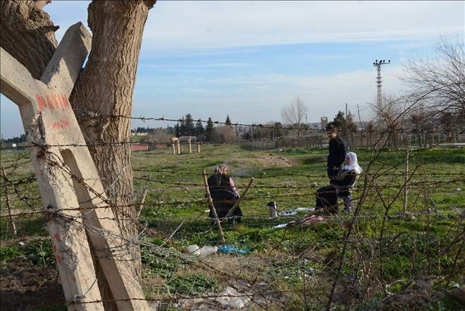 Mayınlı alanda tehlikeli piknik