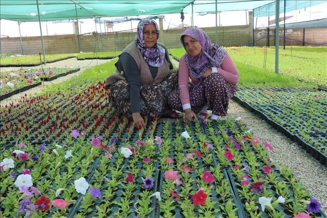 Kendi Fidanın Kendi Üreten Belediye Kazanç Sağlıyor