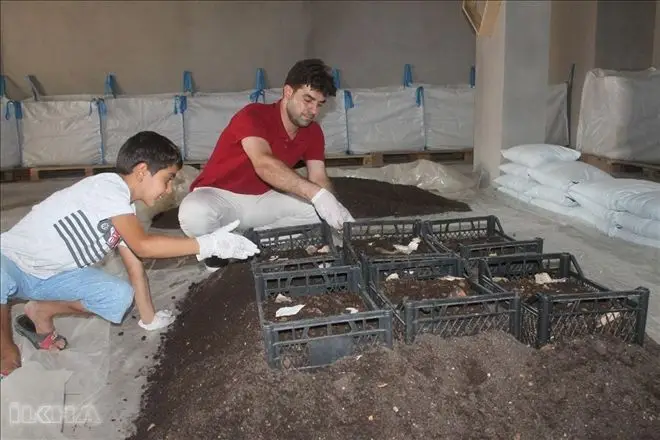 2 milyon solucanla organik g&uuml;bre &uuml;retiyor