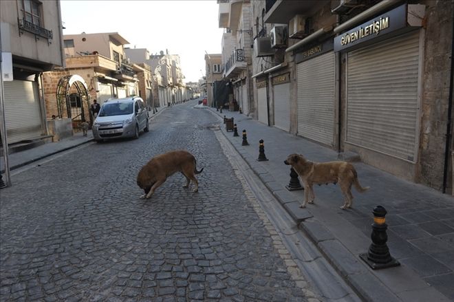 Mardin´de Tarih Sokaklar Boş