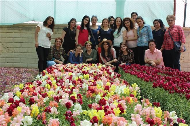 Mardin'de Çiçek Ekimi Kadınlara Emanet