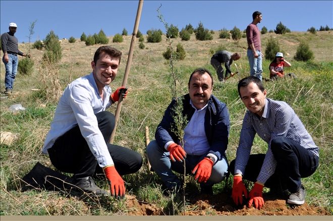 Mardin Barosu Avukatları, Fidan Dikti.