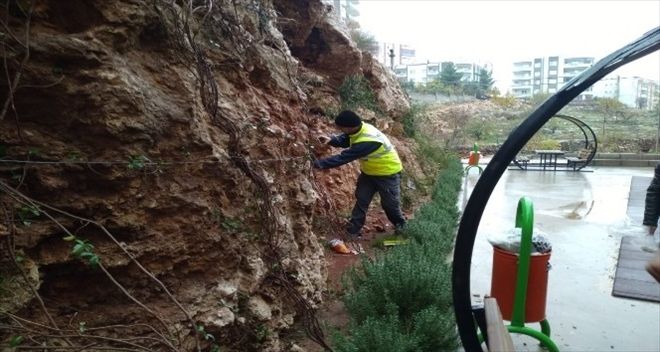 MTA, Mardin´de bulunan fosilleri inceledi