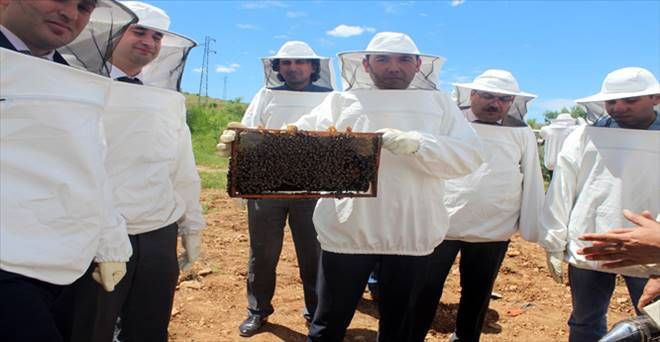 Savur'da Arıcılık Projesi hayata geçirildi