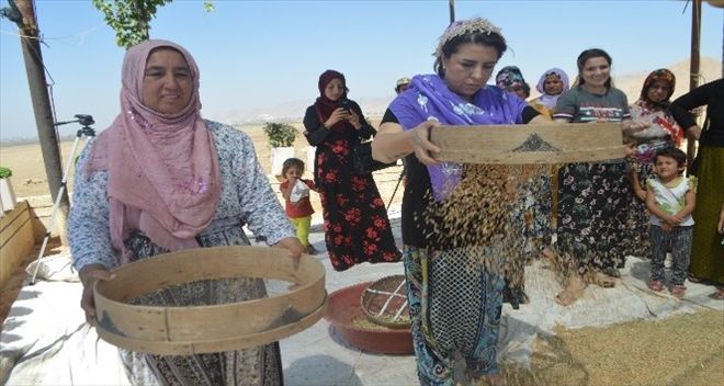 Kuraklığa Mezopotamya topraklarının ´sorgül´ü çözüm olacak