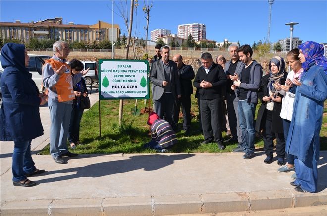 Öğretmen arkadaşlarının anısına 400 ağaç diktiler