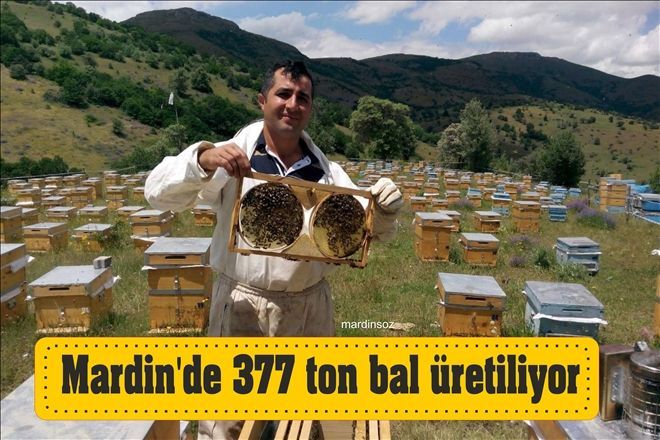 Mardin´de 377 ton bal üretiliyor