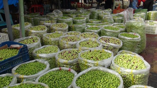 Mardin´de zeytin pazarı kuruldu