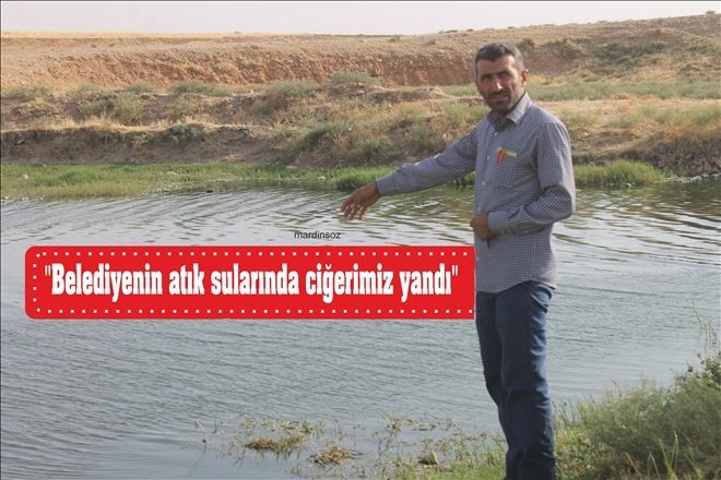 "Belediyenin atık sularında ciğerimiz yandı"