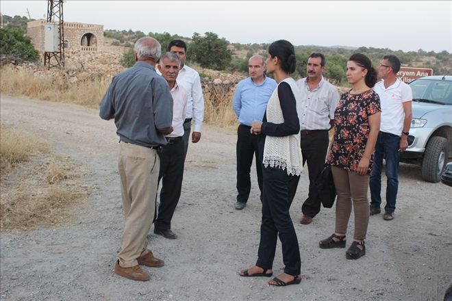 Mardin Büyükşehir Belediye Eş Başkanı  Februniye Akyol Akay