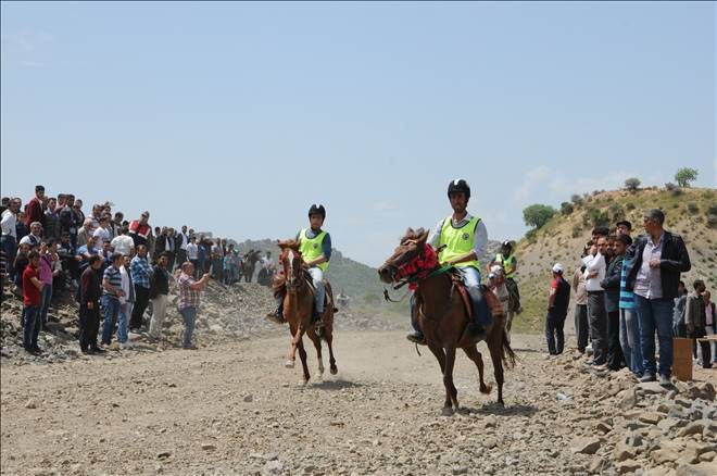 Mardin`de atlar &quot;rahvan&quot; yarıştı