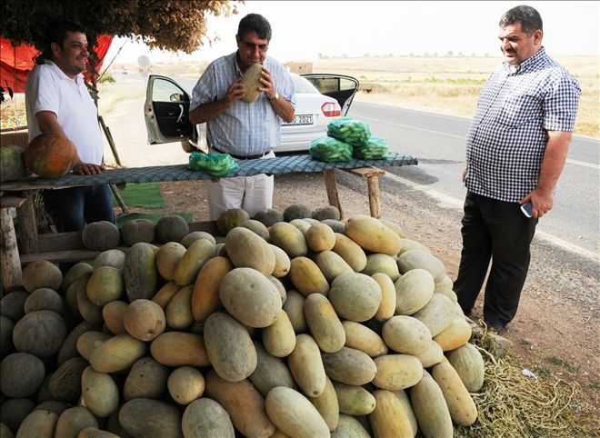 Midyat kavunu özlemi