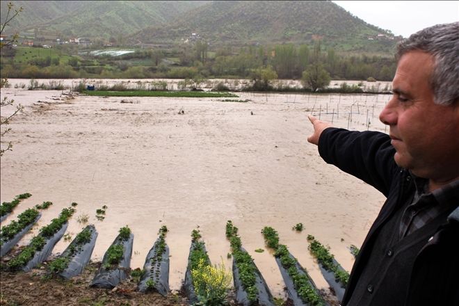 Sason Çayı taştı, meyve tarlaları sular altında kaldı