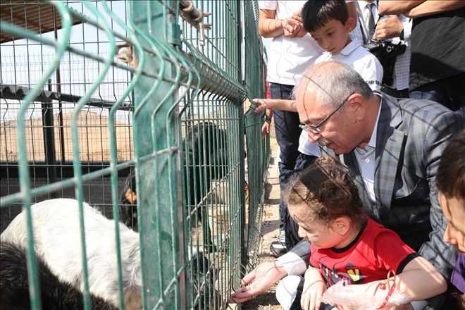 Büyükşehir Belediyesinden Hayvanları Koruma Günü Etkinliği