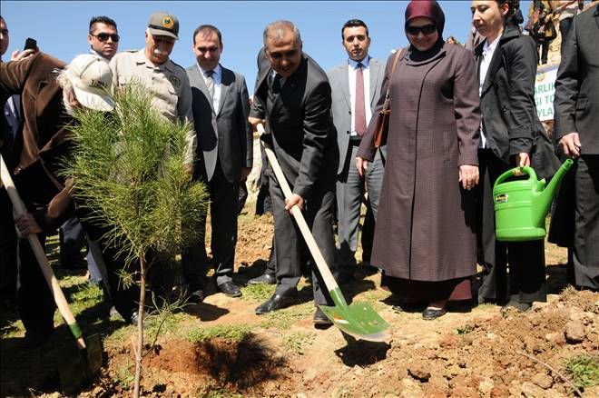 Mardin`de &quot;Bereket Ormanları&quot; projesi