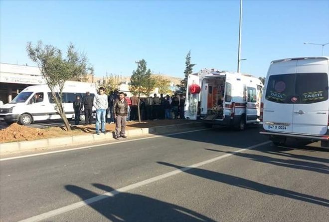 Mardin´de trafik kazası: 1 yaralı