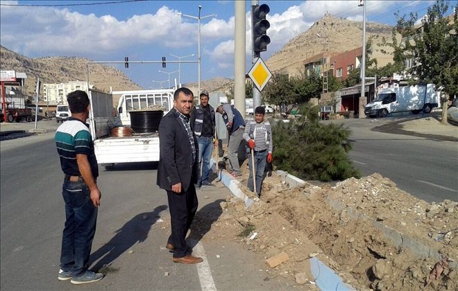 Mardin, Dicle Elektrik ile aydınlanıyor