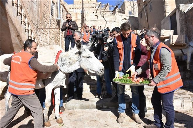 Mardin´de Kadrolu Eşekler Törenle Emekli Edildi.