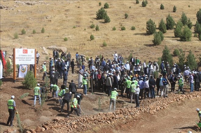 15 Temmuz şehitleri anısına hatıra ormanı