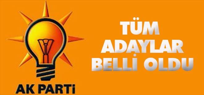 Mardin`de AK Parti Adayları Belli oldu