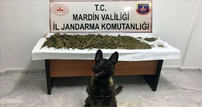 MARDİN´DE 15 KİLO 500 GRAM ESRAR ELE GEÇİRİLDİ