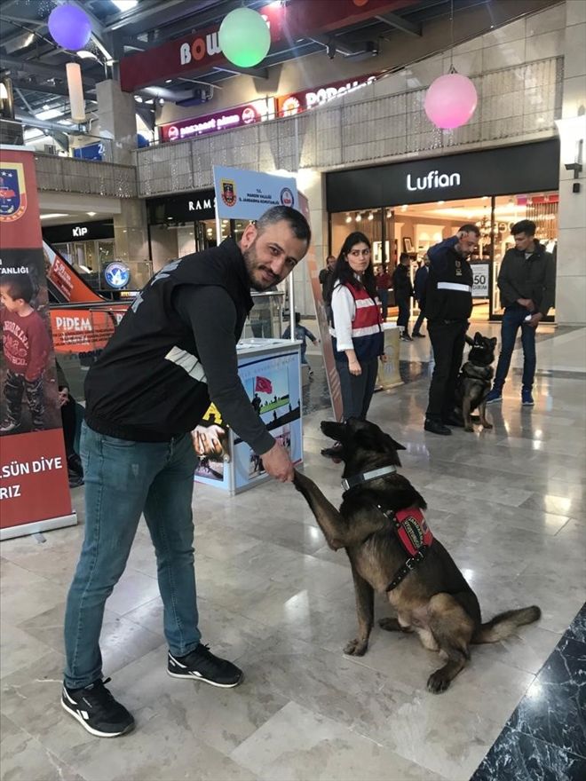 Jandarma, Narkotik Köpekleri ile gösteri yaptı