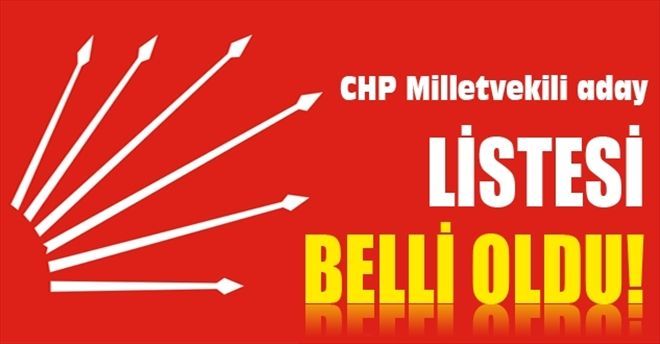 CHP Mardin Milletvekili adayları