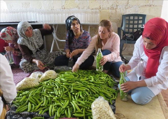 Midyat Acur´undan Turşu Yapıyorlar