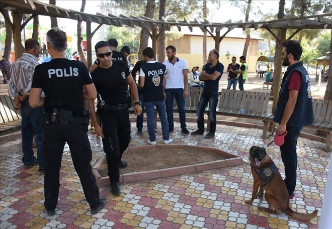 Mardin´de Köpekli Huzurlu Parklar Uygulaması