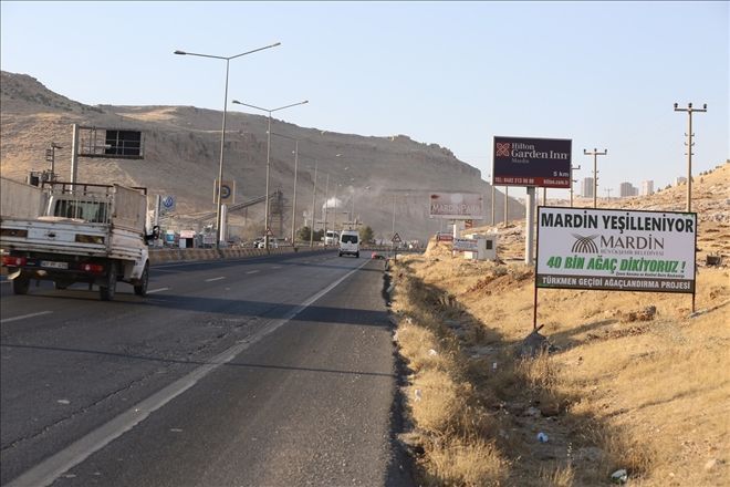 Mardin Girişine 40 Bin Fidan