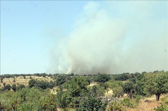 Ömerli´de 1,5 ton patlayıcı imha edildi