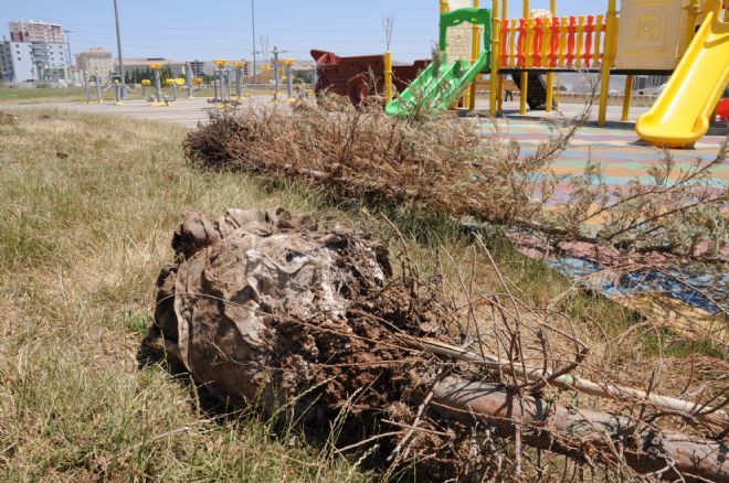 Geçen Yıl Yapılan  Park Bir Yılda Çürüdü!