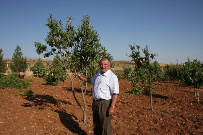 Midyatlı Çiftçinin Örnek Başarısı