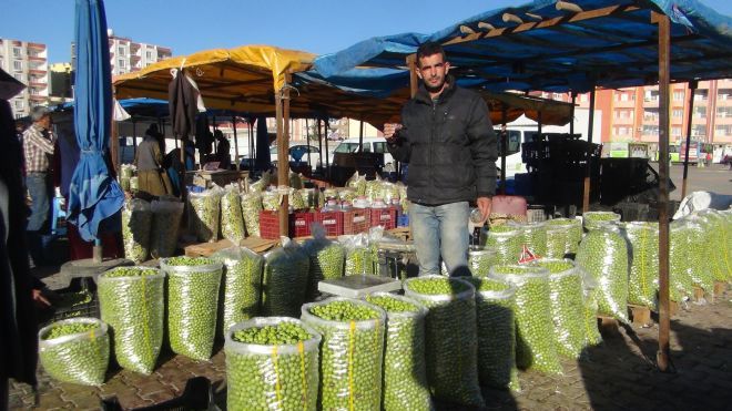 Kızıltepe'de yeşil zeytin pazarı
