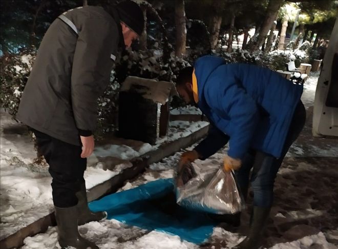 Sokak hayvanlarına genel yemleme yapıldı