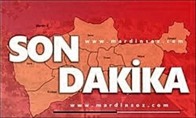 Mardin Merkezli 8 ilde FETÖ Operasyonu yapıldı, 34 Gözaltı
