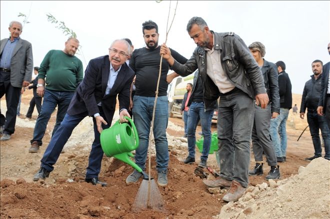 Mardin´de 47 Bin Ağaç Toprakla Buluşuyor..