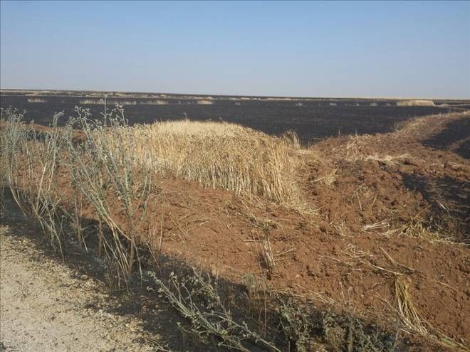 Mardin Ovasında Tarla Yangını