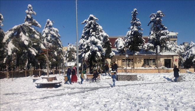 Mardin Beyaza Büründü