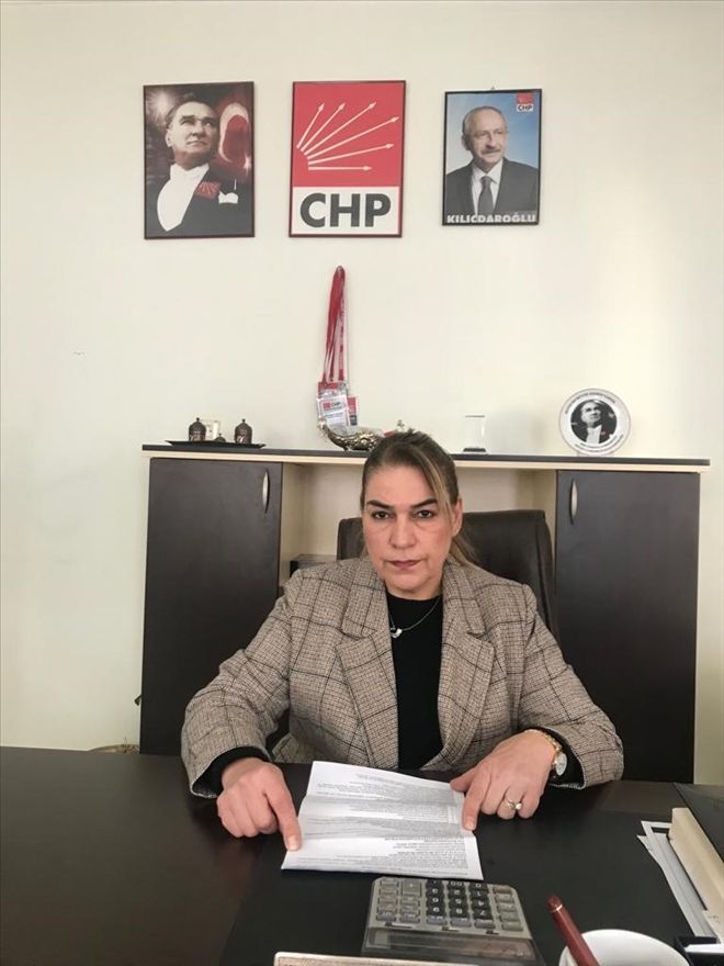 CHP Kadın Kollarından, Kadına Şiddet açıklaması