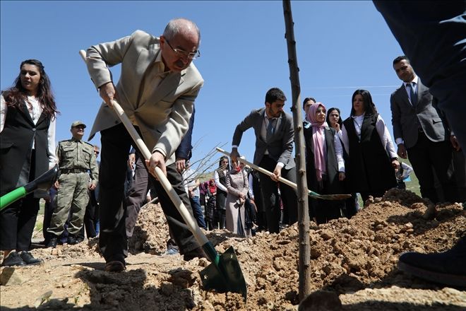 Yaman, ?Yeşil Bir Mardin İçin Çalışmalarımızı Başarıyla Sürdürüyoruz?