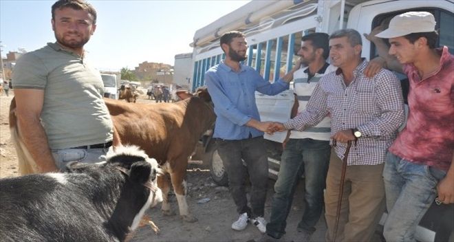 Kurbanlıklar pazardaki yerini aldı