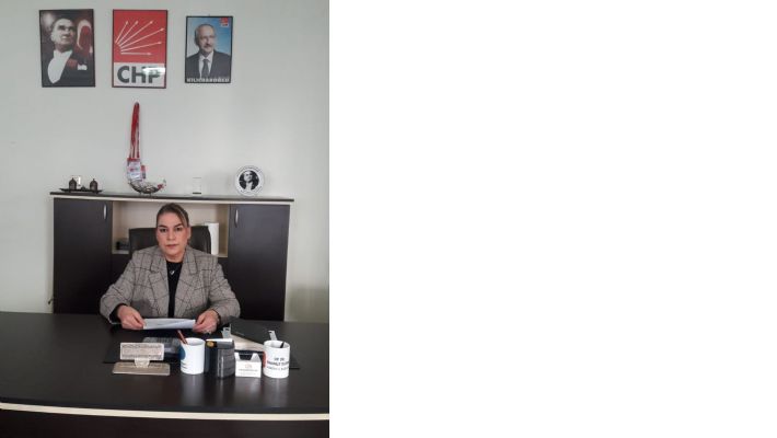CHP  Mardin  Kadın Kolları Başkanı Kılıç 'Kadın Cinayetlerini Durduracağız'