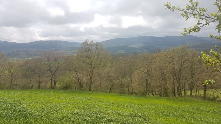 Danıştay, Termik Santrala onay vermedi.