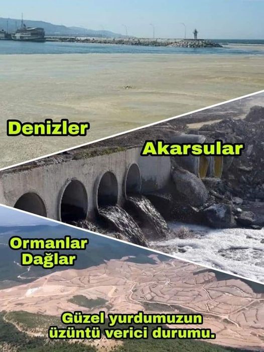 Çevre gününü bırak, çevreyi katledenlere bak