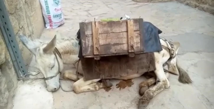 Çöp Eşeği Haberine Açıklama Geldi