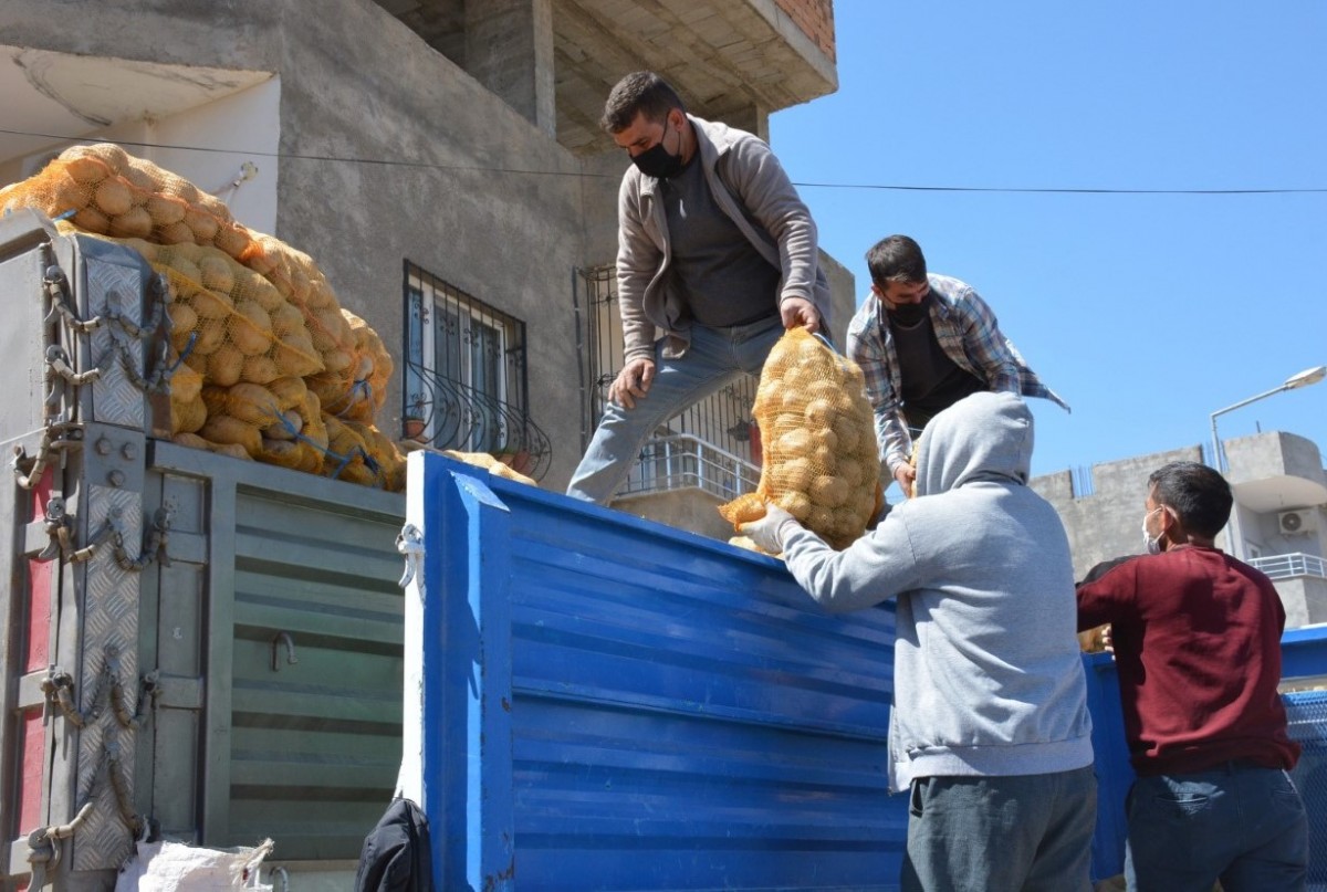  Cumhurbaşkanı Talimat verdi  Kızıltepe'de patates dağıtımı başladı