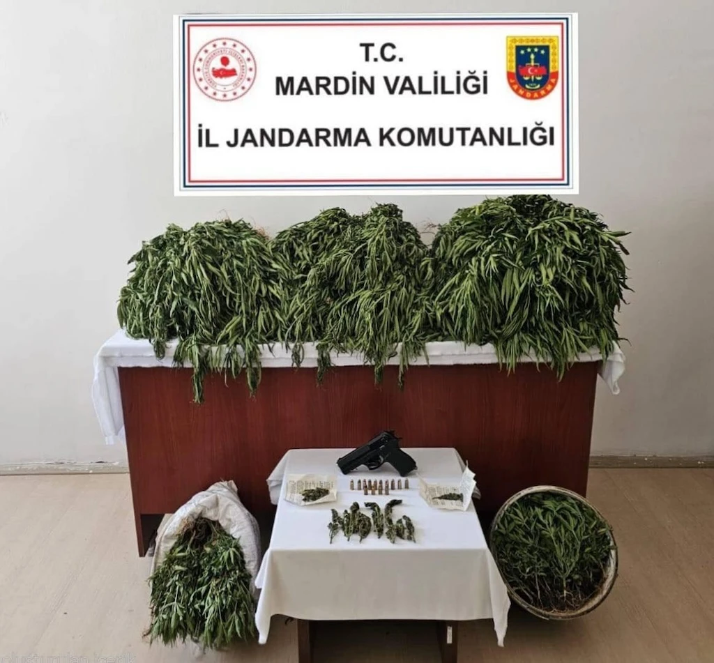 Jandarma Nusaybinde Esrar Ele Geçirdi