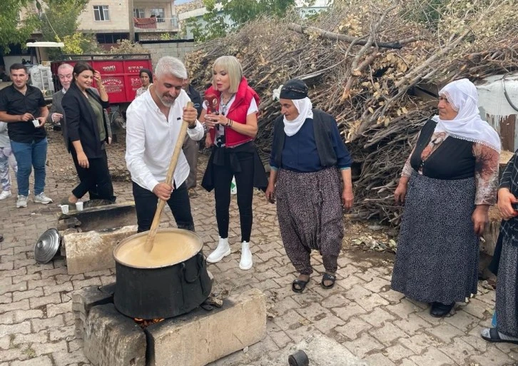 Mardin'de bağ bozumu başladı