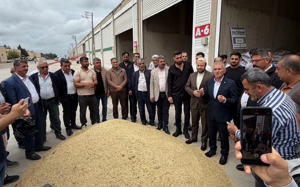 Mardin'de Sezonun ilk arpa hasadı yapıldı